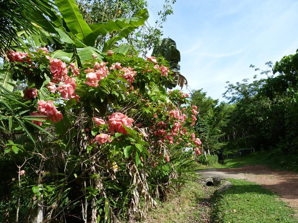 海鸥别墅 Ko Lanta 外观 照片