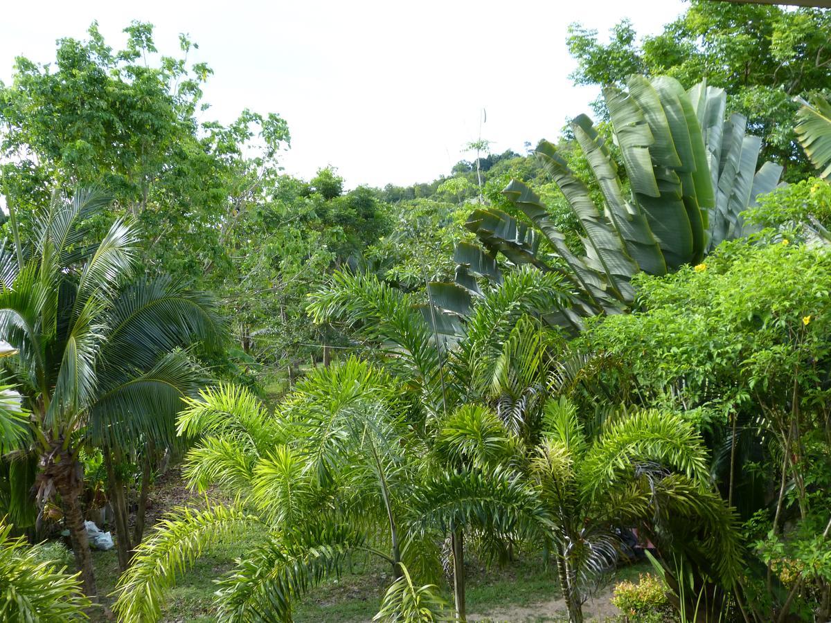 海鸥别墅 Ko Lanta 外观 照片